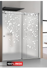 PARAVAN DUS MAT FULL INOX DANCE