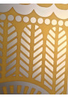 Vitrina sablata, Phi-Phi contur galben